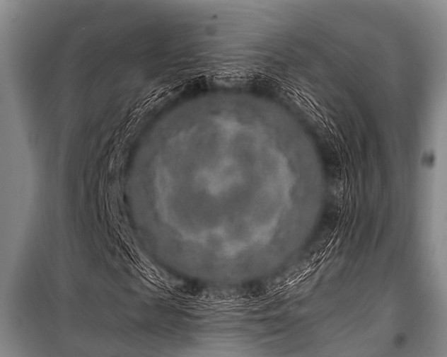 X0000101150817200806270941