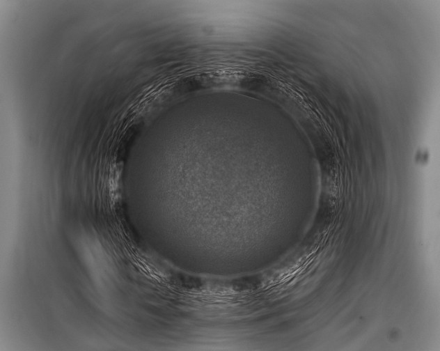X0000101150818200806270941