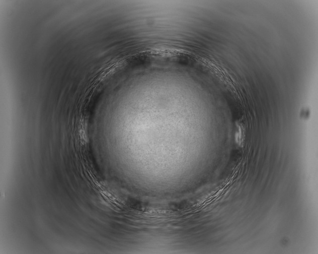 X0000101150819200806270941
