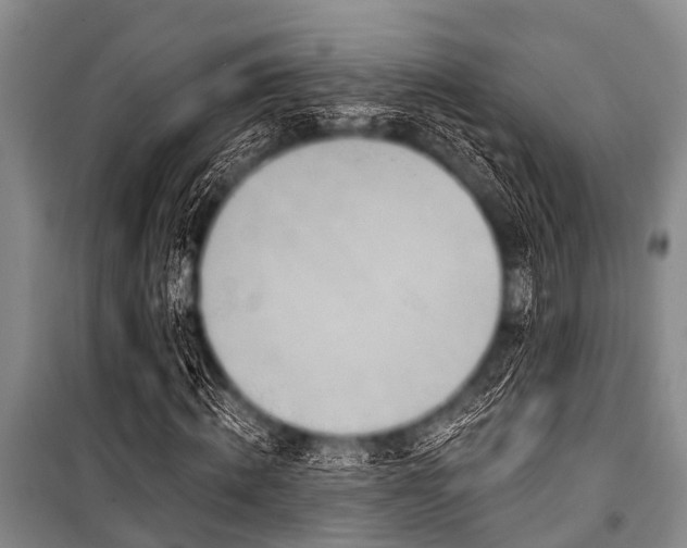 X0000101150820200806270941