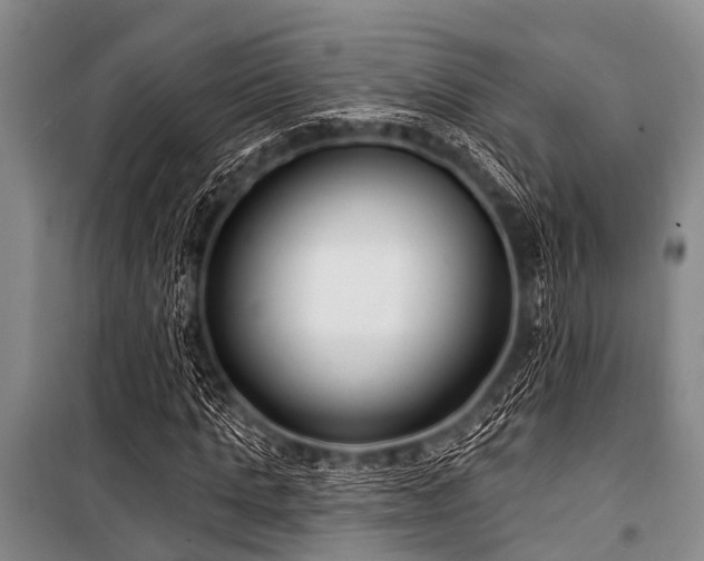 X0000101150821200806270941