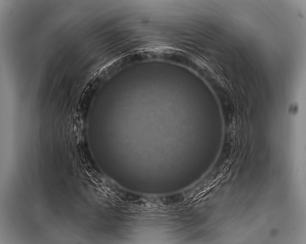 X0000101150822200806270941