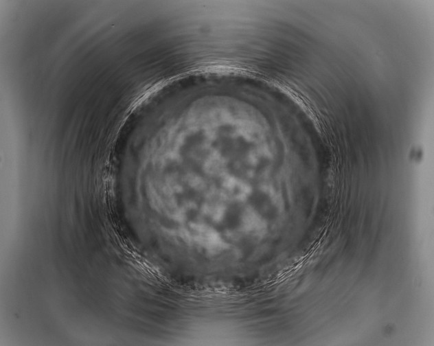 X0000101150823200806270941