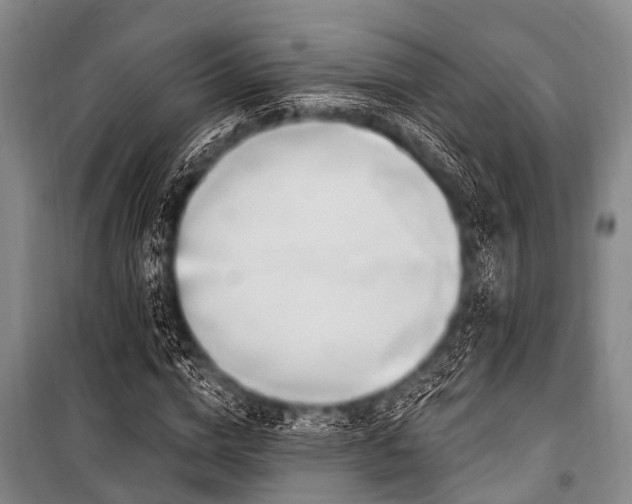 X0000101150824200806270941