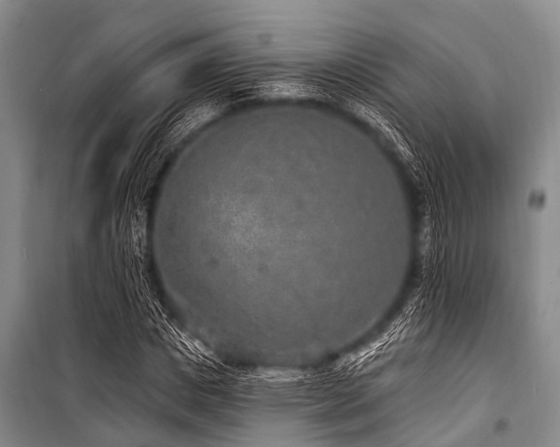 X0000101150825200806270941