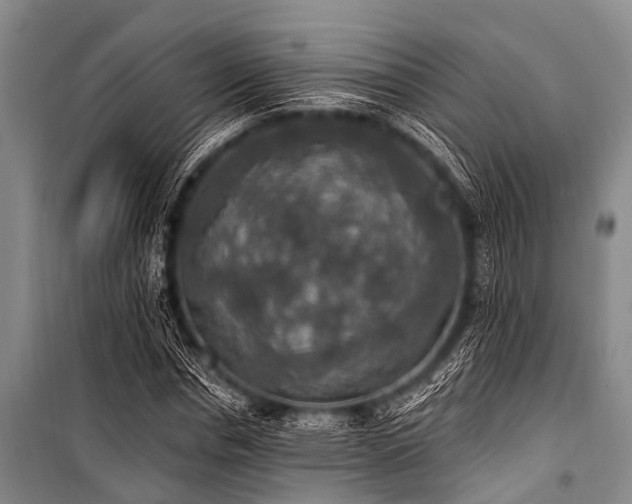 X0000101150826200806270941