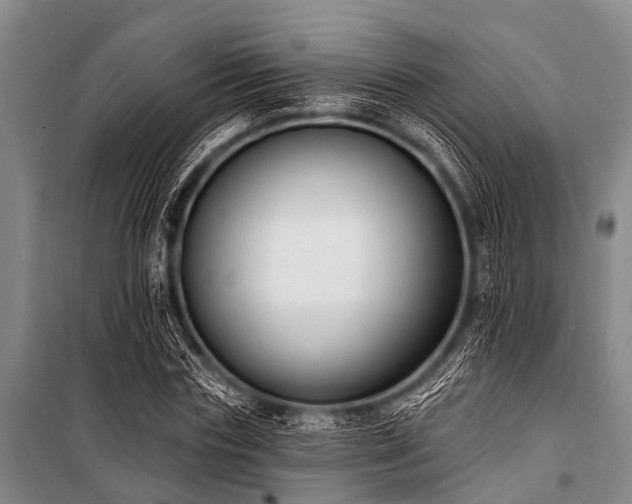 X0000101150827200806270941