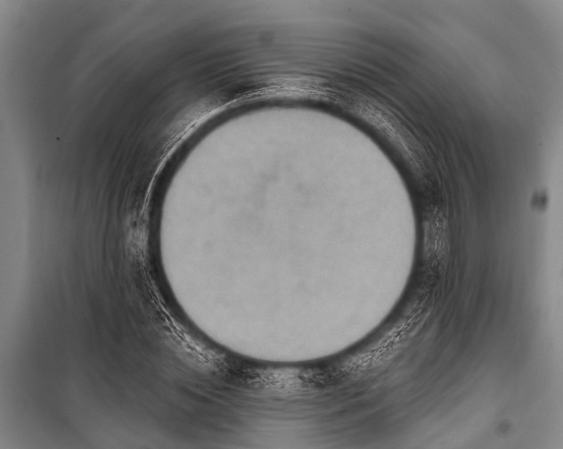 X0000101150828200806270941