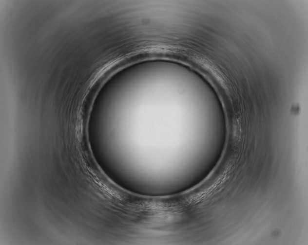 X0000101150829200806270941