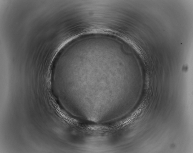 X0000101150830200806270941