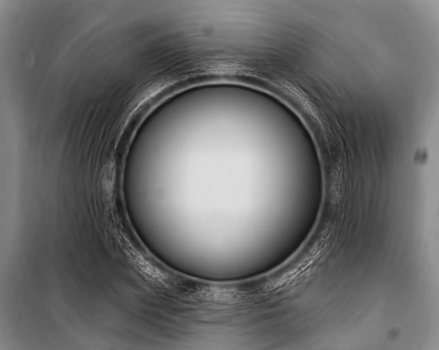 X0000101150831200806270941