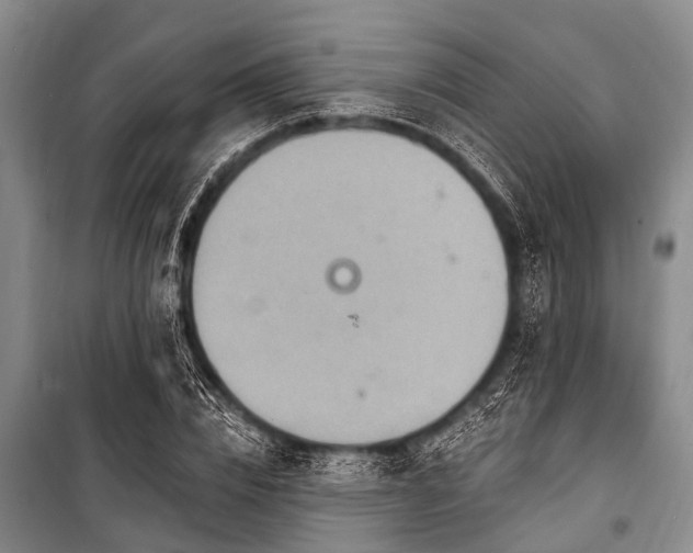 X0000101150832200806270941
