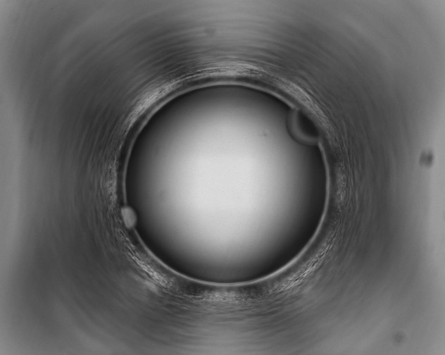 X0000101150834200806270941