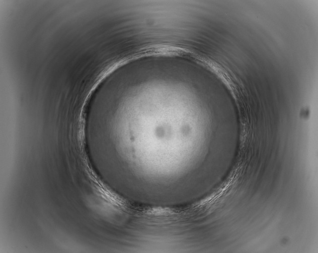 X0000101150835200806270941