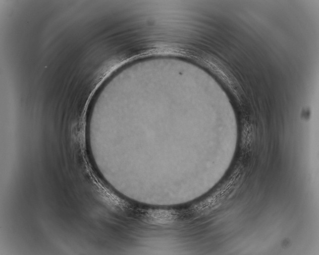 X0000101150836200806270941