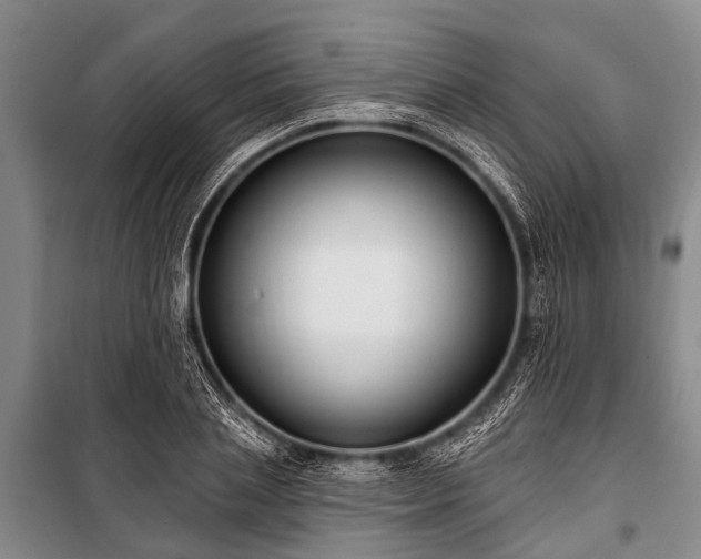 X0000101150837200806270941