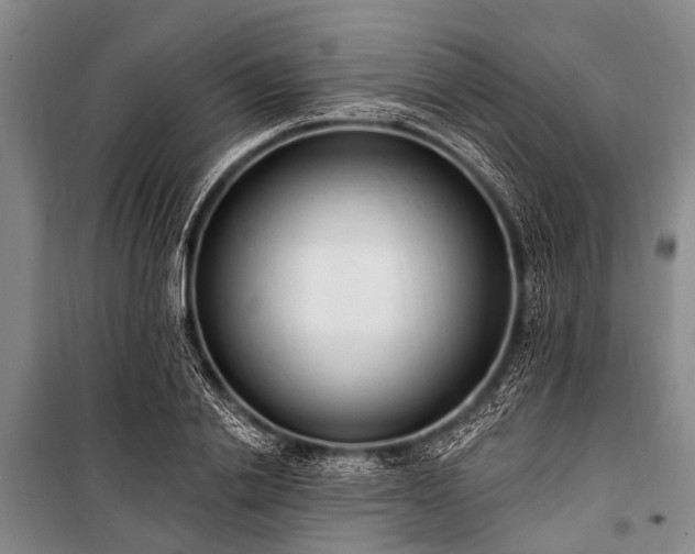X0000101150838200806270941