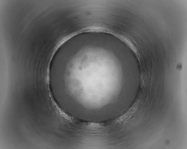 X0000101150839200806270942