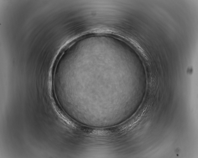 X0000101150840200806270942