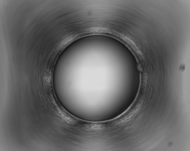 X0000101150841200806270942