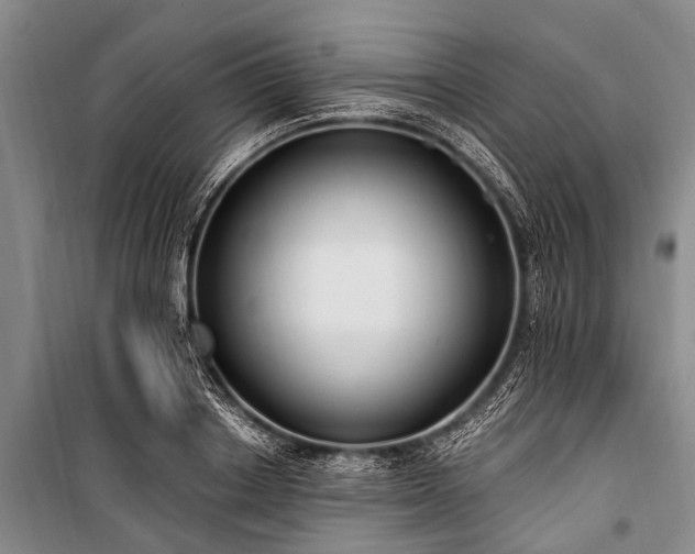 X0000101150842200806270942