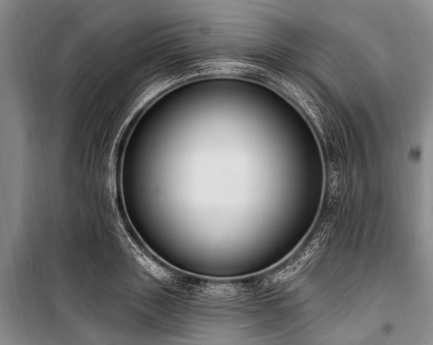 X0000101150843200806270942