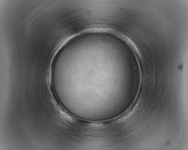 X0000101150844200806270942