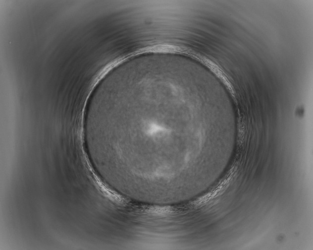 X0000101150845200806270942