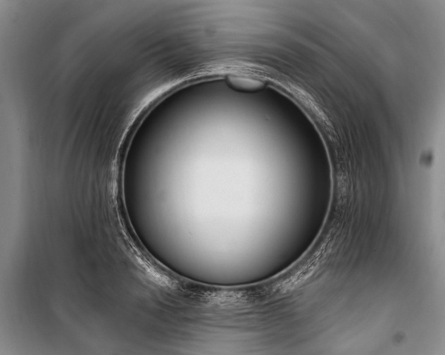 X0000101150846200806270942