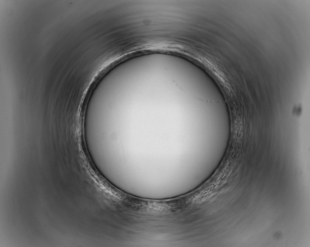 X0000101150848200806270942