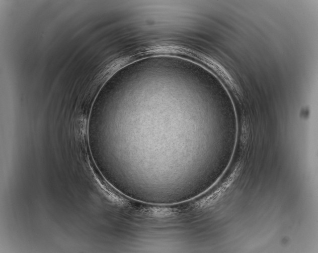 X0000101150849200806270942