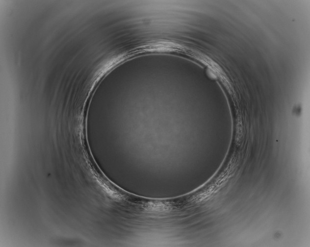 X0000101150850200806270942