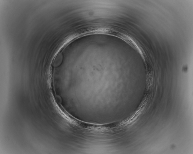 X0000101150851200806270942