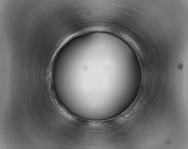 X0000101150852200806270942