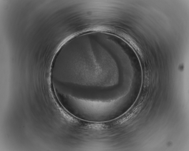 X0000101150853200806270942