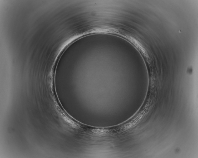 X0000101150854200806270942