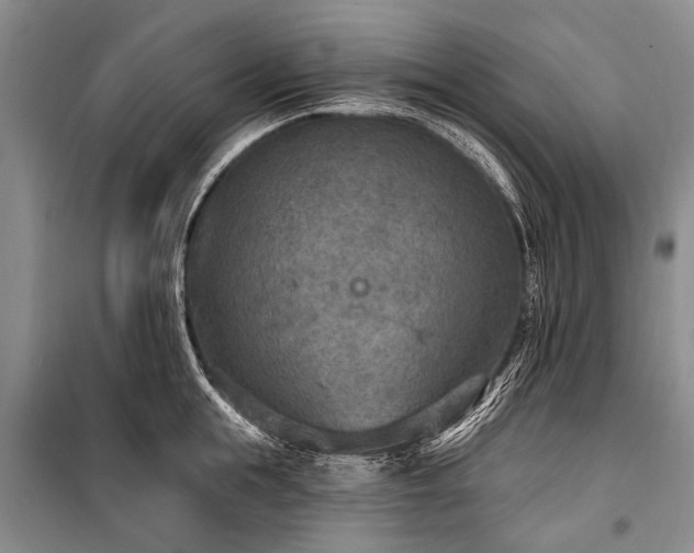 X0000101150855200806270942
