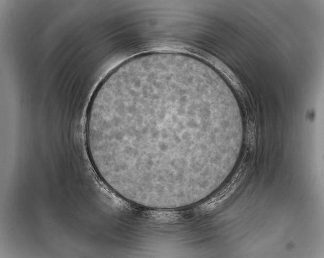X0000101150856200806270942