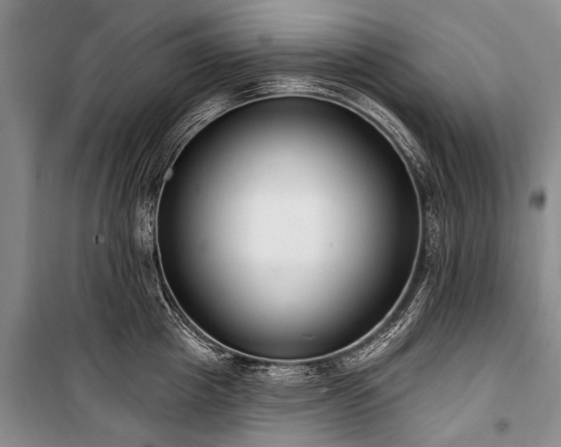 X0000101150857200806270942