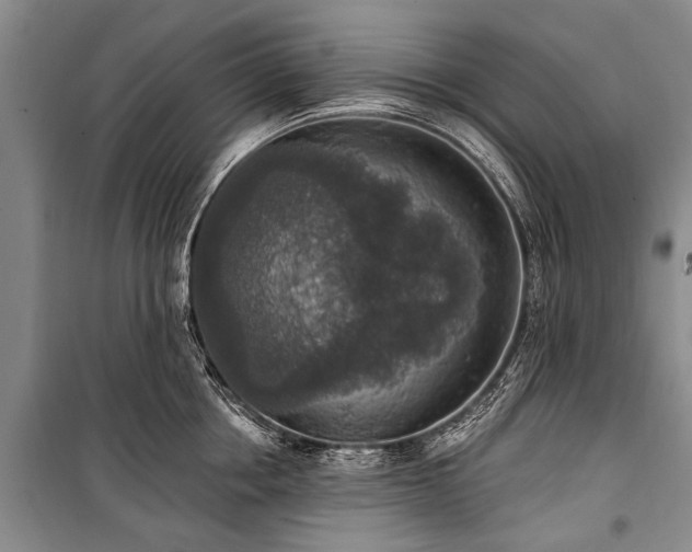 X0000101150858200806270942