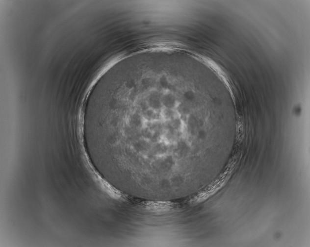 X0000101150859200806270942