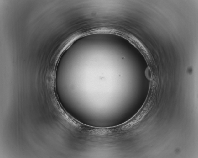 X0000101150860200806270942
