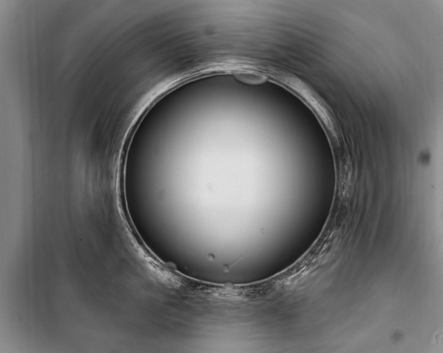 X0000101150861200806270942