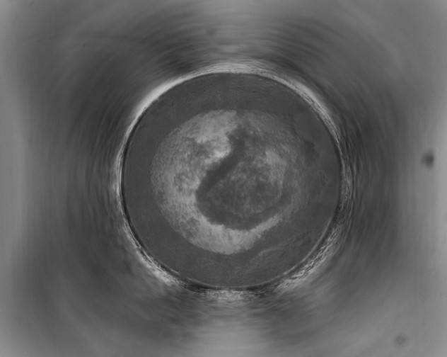 X0000101150862200806270942
