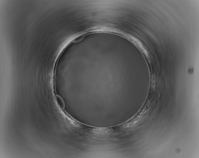 X0000101150863200806270942