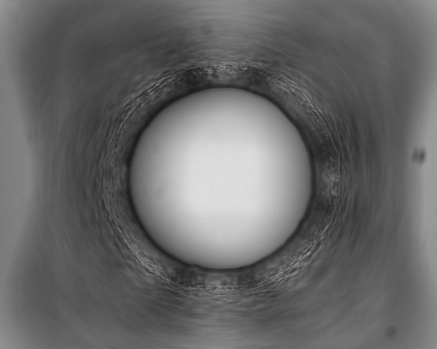 X0000101150865200806270941