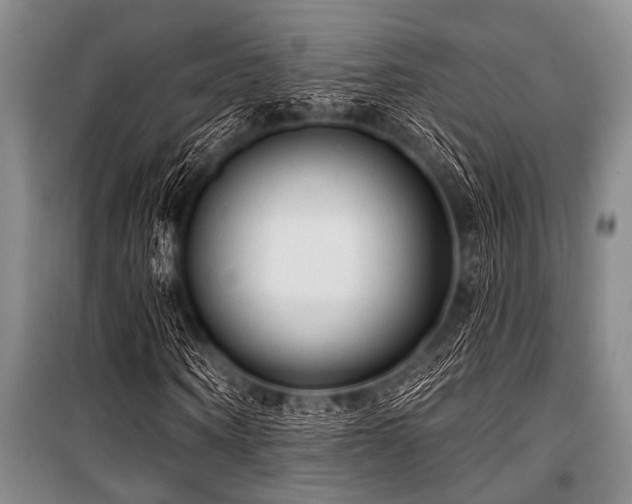 X0000101150866200806270941