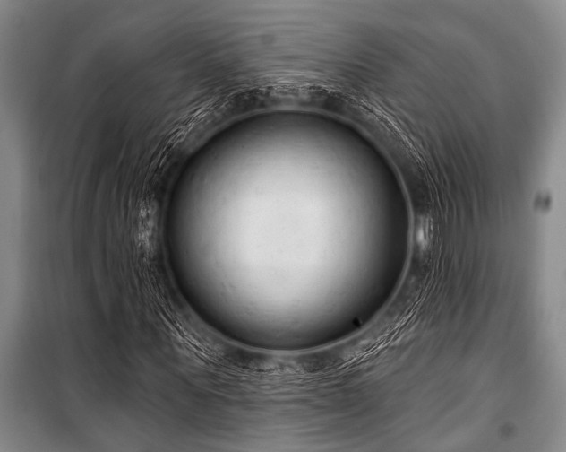 X0000101150867200806270941