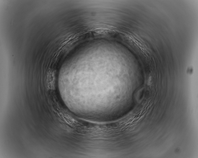 X0000101150868200806270941