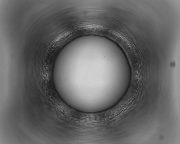X0000101150869200806270941